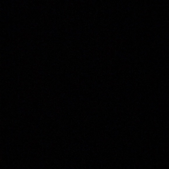 Meet your Posher, Brady - Picture 1 of 1